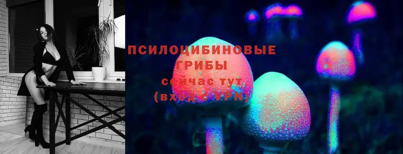 Псилоцибиновые грибы MAGIC MUSHROOMS  Приморск 